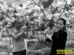 �����ɽ֣����濷��޼�ͥũ�������Ѵ�ҵ�¸�