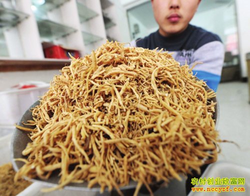 ̫�Ӳζ���Ǯһ���Դ����̫�Ӳμ۸�����Ѹ��