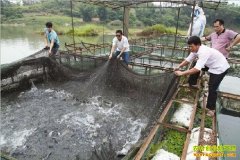 ����ʯ����Ԫѫ���㴴ҵ�������¸�·