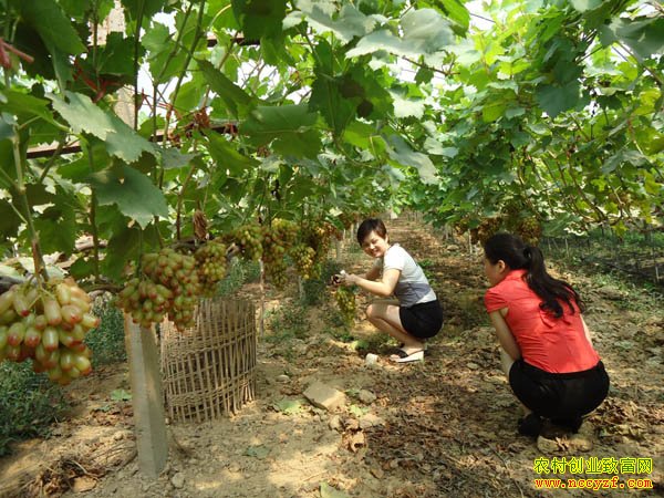 ����������С�������������Ѻ��¸�