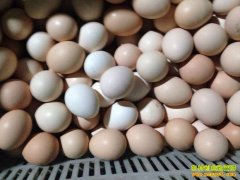 ɽ������̷�������紴ҵ�������������¸�