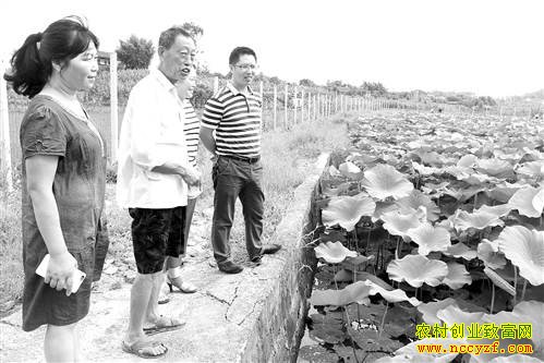 ����ϴ���������ֲˮ���������ֵ160��Ԫ