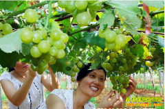 ����¹�������������ҵ������������60��Ԫ