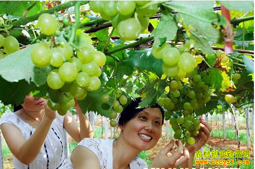 ����¹�������������ҵ������������60��Ԫ