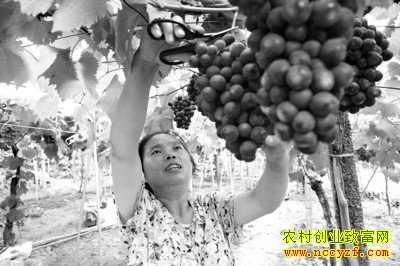 ���������������ֲ��������ÿ��8Ԫ