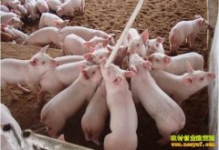 ��������������÷��������������7���Ԫ