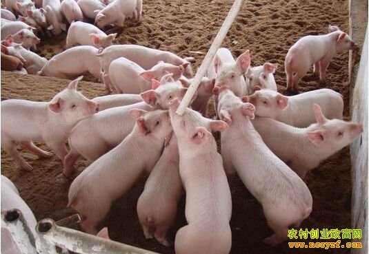 ��������������÷��������������7���Ԫ