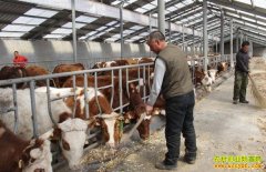 ��ţ׬Ǯ�𣺼���ǰ����������ţ�����¸�·