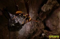 �Ĵ��²���׷������������䴴ҵ�¸�