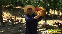 [�¸���]��������ŵ���ɽ����ֳ��ʼ������800��Ԫ