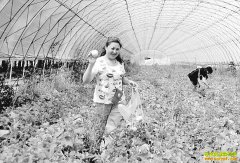 ������������������������������������Ԫ