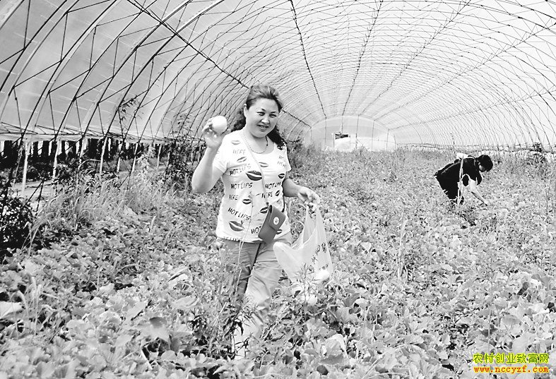 ������������������������������������Ԫ