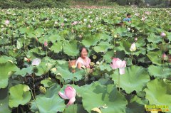 �Ĵ��ڽ�����ź��ֲЧ��ó�ũ���¸�����Ŀ