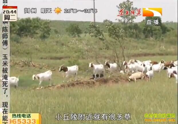 ��������¢������ֳ�¸��ð�����Ƶ�����òݳ���Դ ��ҵ����