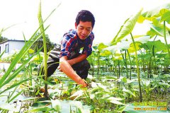 �㽭������ط���ź+���������������¸�