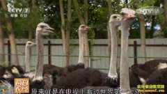 [ÿ��ũ��]������׬Ǯ������������Ǳ���ֳǰ����