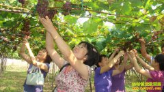 ɽ����ƽ������ֲ���ű�ˮ�������Ѳ�ժ��