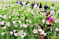 ������������ֲ�ٺ�5000��Ķ��ũ���¸�����Ŀ