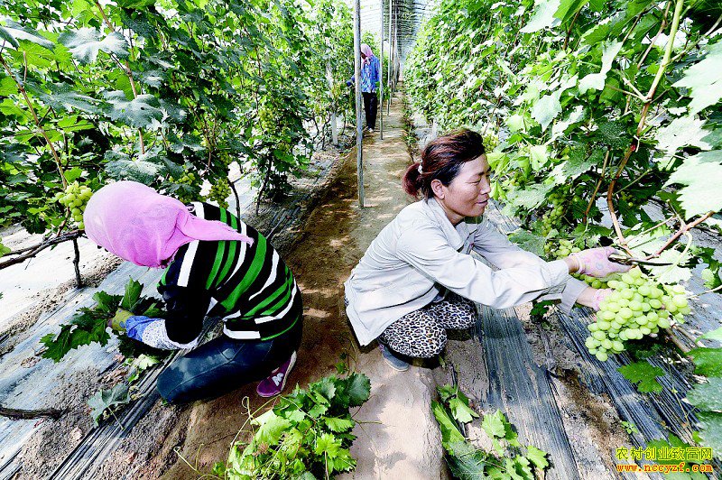 ���ĺ���ɽ��´�����������Ѿ��ۺϲ�ֵ166��Ԫ