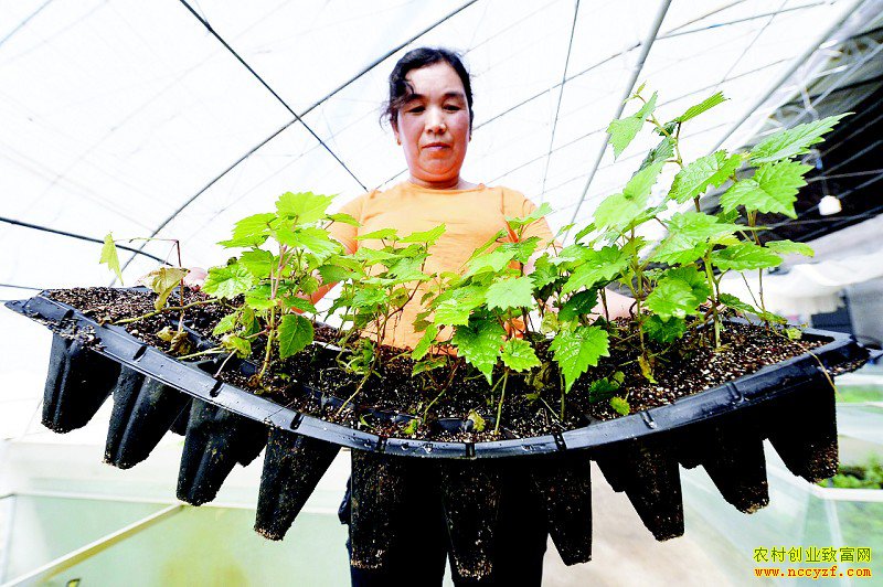 ���ĺ���ɽ��´�����������Ѿ��ۺϲ�ֵ166��Ԫ