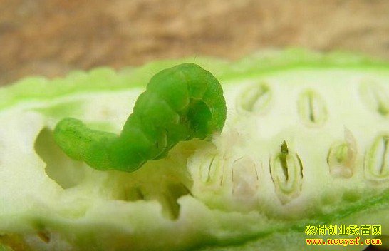 �߲������Ͳ����ķ��η���