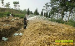 С��ոѰ������ϵ���������