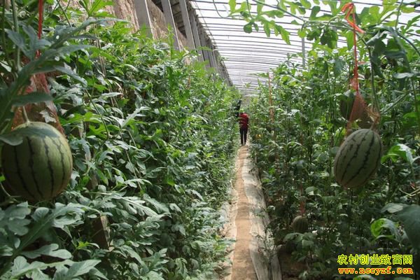 �����������ڻ�������������Ч���