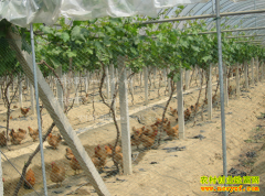 ���������ػ�ѧ�����Ѽ��������������