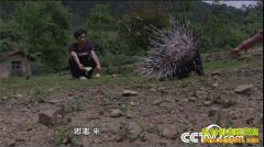 [�¸���]������͡������Ԩ��ֳ������׬����Ƹ�