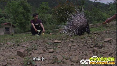 [�¸���]����ʡ�����г�͡������Ԩ800Ԫ����������׬����ĲƸ�����