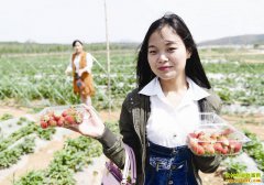 �ӱ�ɳ�ӿ����̻���ɽ����ũ���¸�