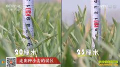 [�Ƽ�Է]������С���߳���С�������