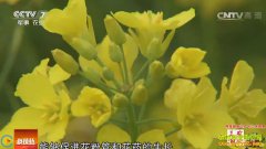 [�Ƽ�Է]�Ż����Ͳ˴��ֵ���ֻʩһ�η�