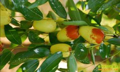 ��򱱳��챤��������� ��ũ�����¸�·