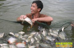 ������������ƴ�����ֳ�޷���������150��Ԫ