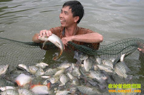 ������������ƴ�����ֳ�޷���������150��Ԫ