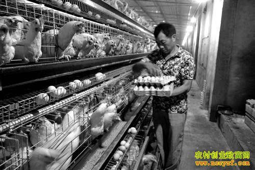 �����ϴ���������ֳ����׬Ǯ���ֵ180��Ԫ