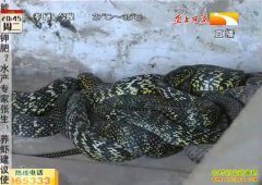 �¸��ð�������ֳ������ һ����׬һ�ٿ�