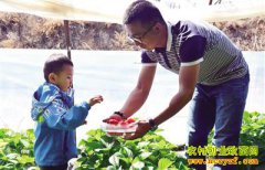 ���ɹź��д�ѧ�����������紴ҵ��ֲ��Ʒ��ݮ���¸�