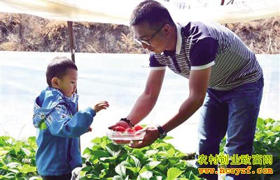 ���ɹź��д�ѧ�����������紴ҵ��ֲ��Ʒ��ݮ���¸�