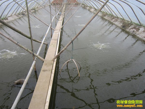 �㽭������������ֳ��Ϻ ƽ��Ķ���߰�ǧ��