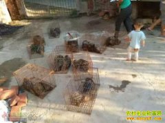 �Ĵ��ڽ���ǧƽ��ֳ����ÿ�괴��40��