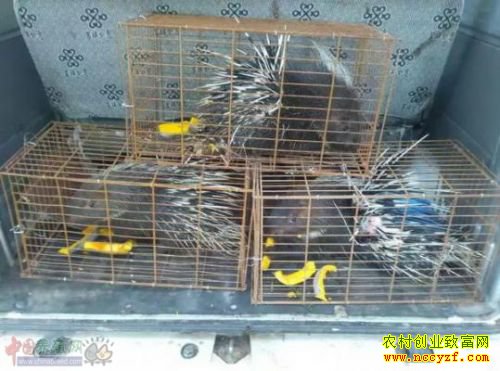 ���б�ҵ������Ϫ����������ÿ�괴��40��