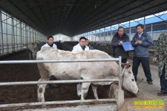 [ÿ��ũ��]���ÿ��Ƥ��ţ�۸���г��ܻ�ӭ