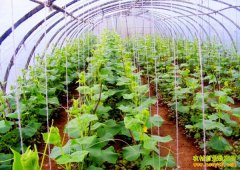 �������⽯����ˮ��һ���ִ����߲�ÿĶ����1.5��Ԫ