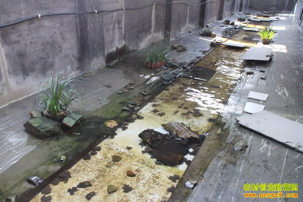 �㽭���������ֳʯ�� ������ר��