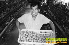 ɽ�����Ȼݼ�ʤ�������������¸�