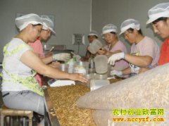 ɽ�����غ������ֳ�Ʒ۳����ũ���¸�