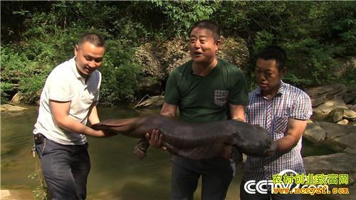 [�¸���]�Ĵ���������ƽ��ֳ����������3000��Ԫ