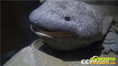 [�¸���]�Ĵ���������ƽ��ֳ����������3000��Ԫ